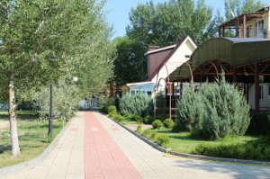 ImQXg6VLDIQ