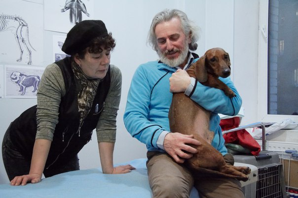 Профессиональный МАССАЖ ДЛЯ ЖИВОТНЫХ в Москве