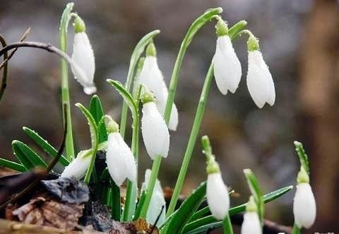 WE GIVE A SPRING MOOD!!!