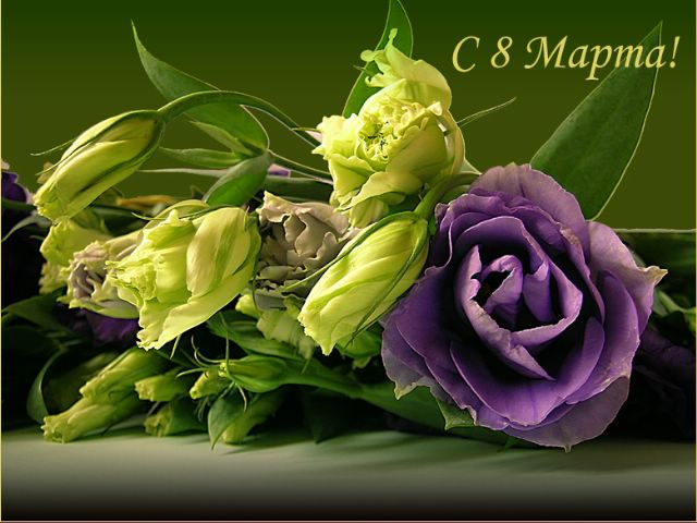 Congratulations on 8 MARCH of our women